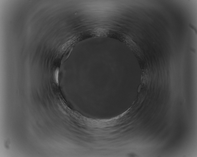 X0000101980047200807181135