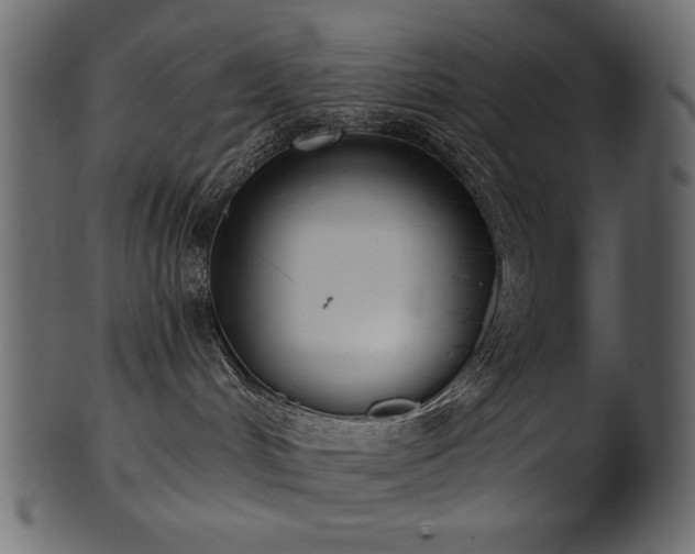 X0000101980048200807181135