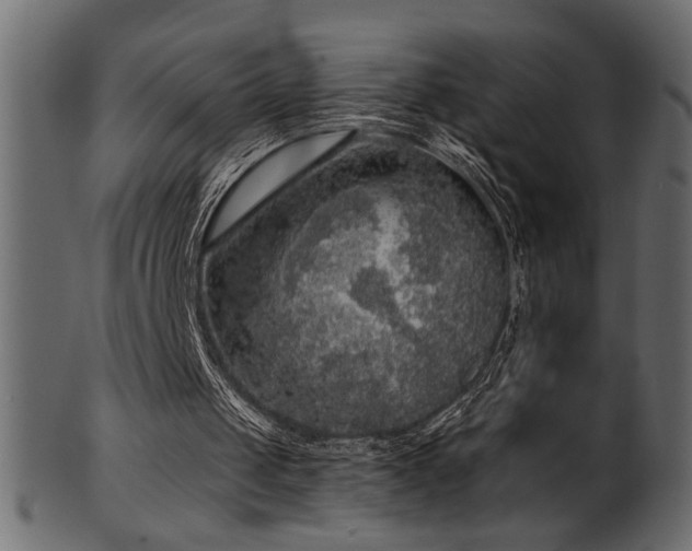 X0000101980049200807181134