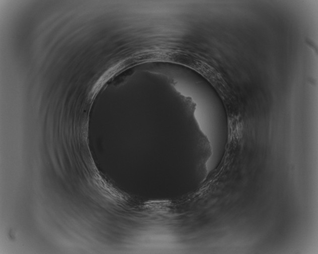 X0000101980051200807181134