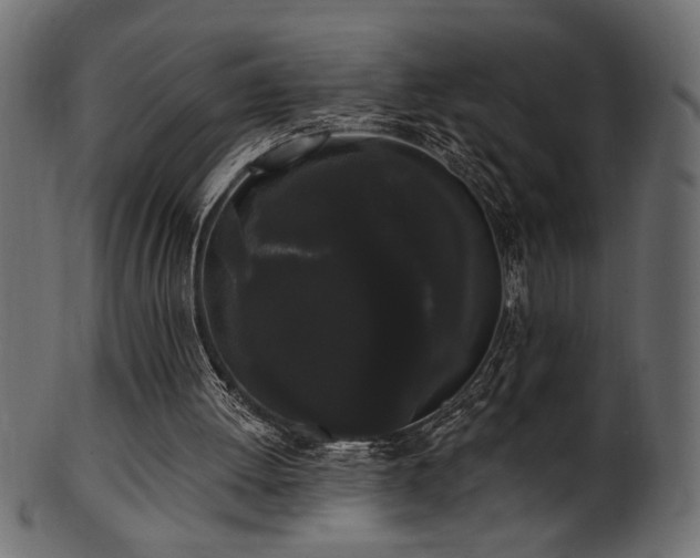 X0000101980052200807181134