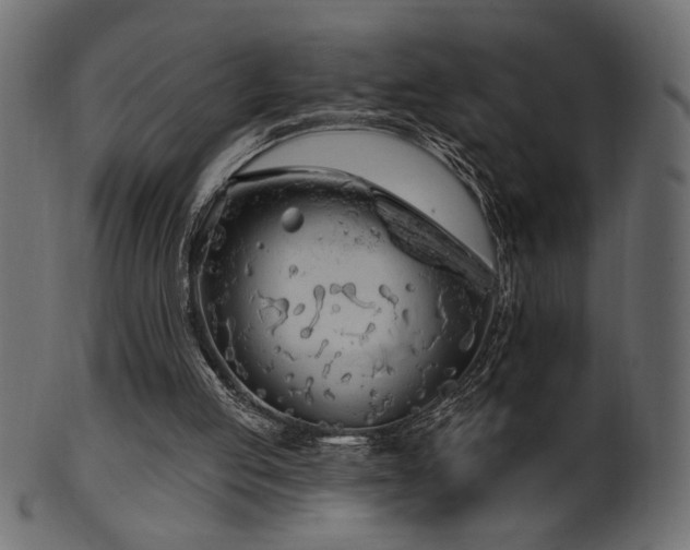 X0000101980053200807181134