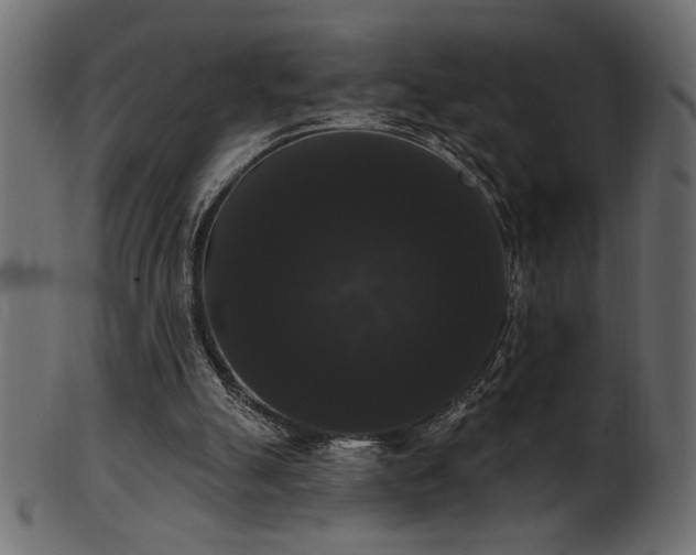 X0000101980055200807181134