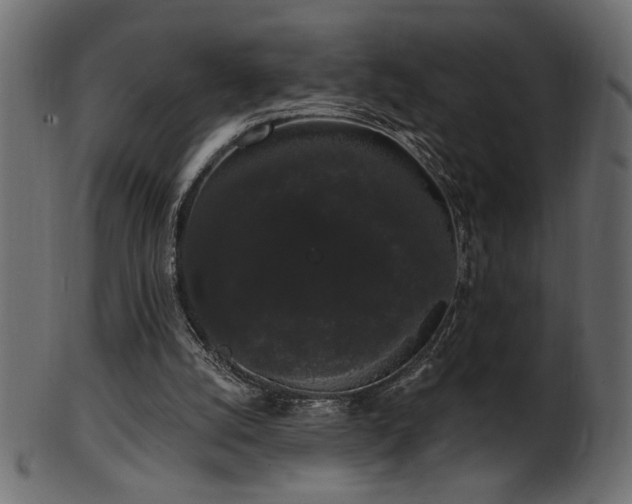 X0000101980056200807181134