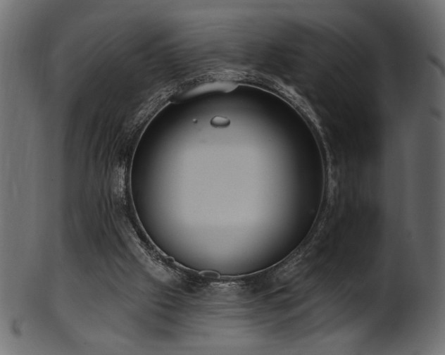 X0000101980057200807181134