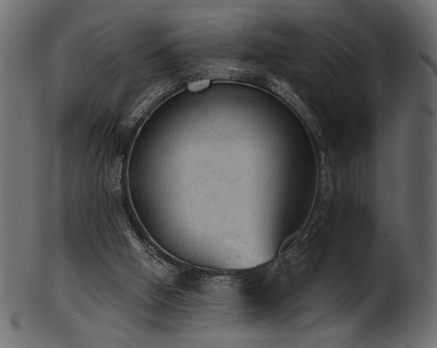 X0000101980058200807181134