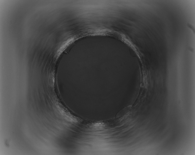 X0000101980059200807181134