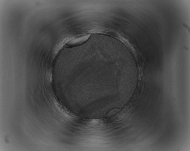 X0000101980060200807181134