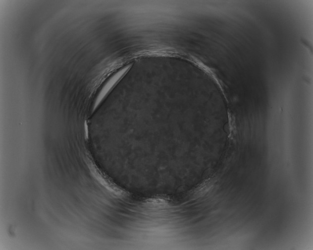 X0000101980061200807181134