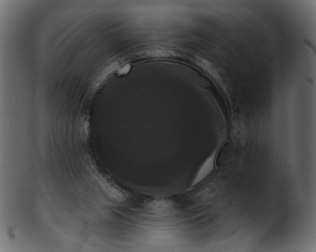 X0000101980063200807181134