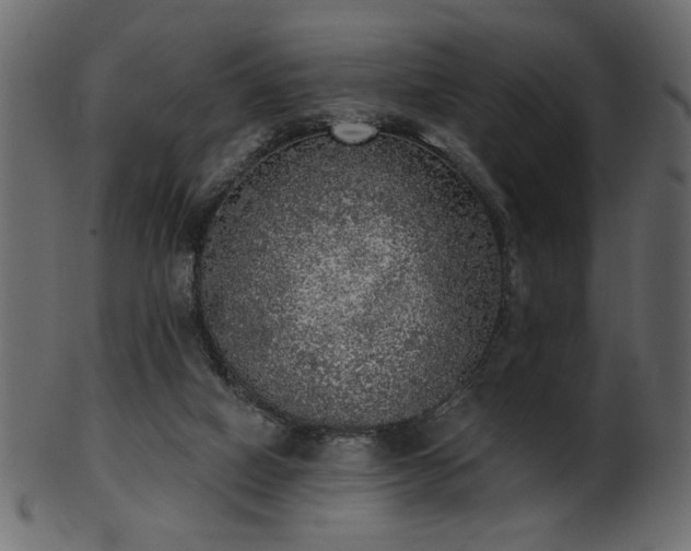 X0000101980066200807181134