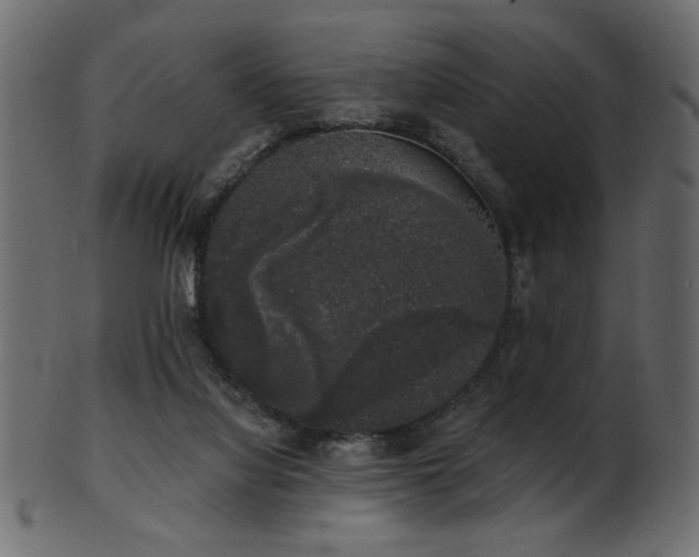 X0000101980068200807181134