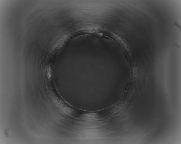 X0000101980069200807181134