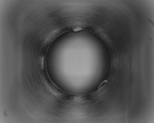 X0000101980070200807181134