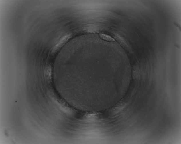 X0000101980072200807181134