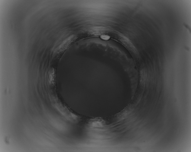 X0000101980073200807181134