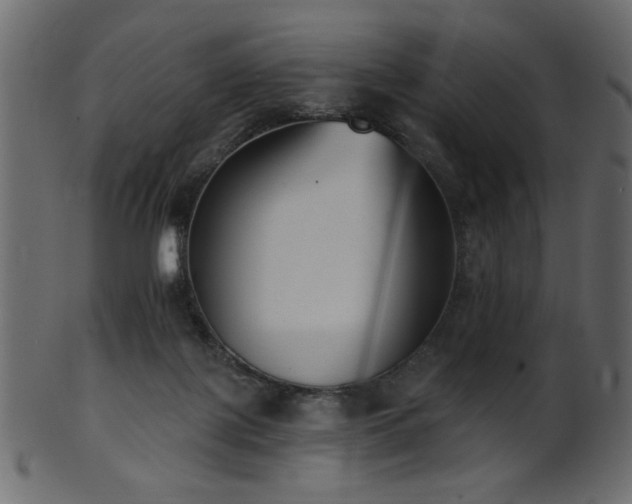 X0000101980075200807181134