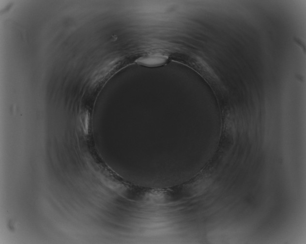 X0000101980076200807181134