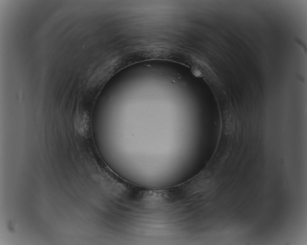 X0000101980077200807181134