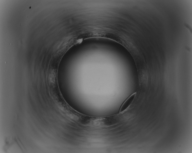 X0000101980078200807181134