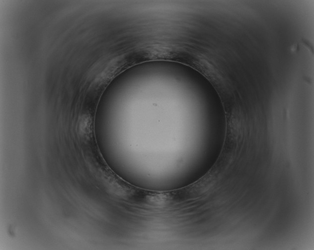 X0000101980079200807181135