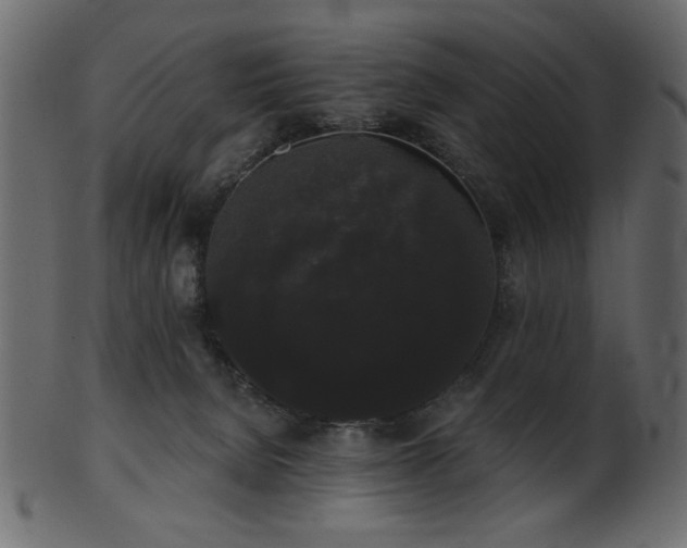 X0000101980080200807181135