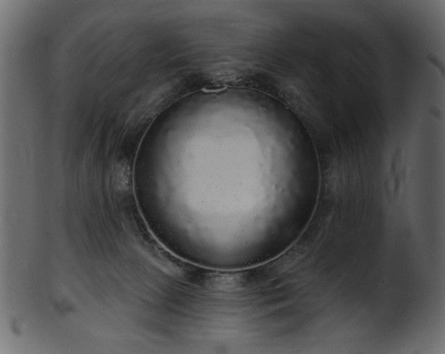 X0000101980081200807181135