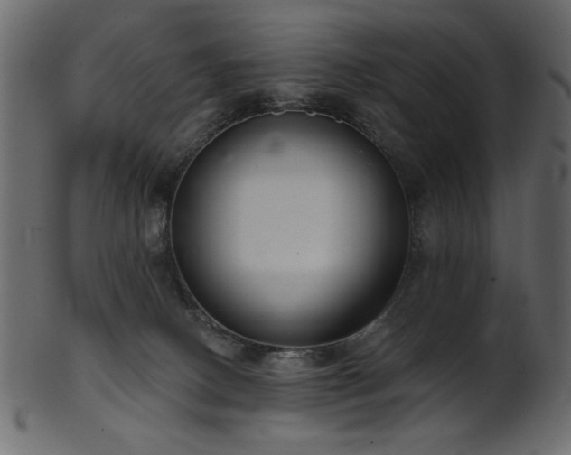 X0000101980082200807181135