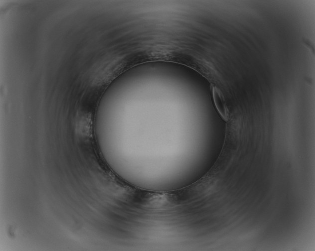 X0000101980083200807181135