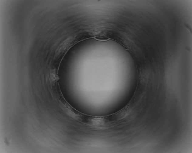 X0000101980085200807181135