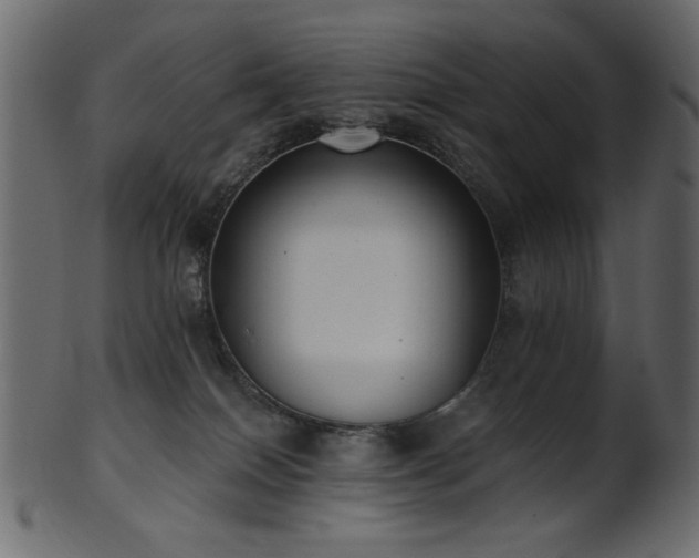 X0000101980086200807181135