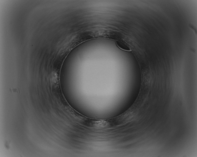 X0000101980087200807181135