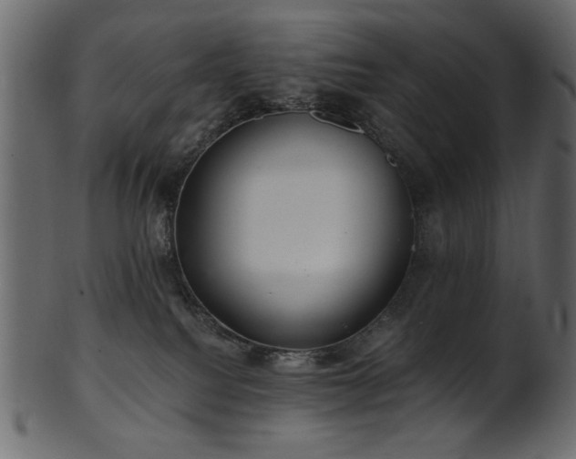 X0000101980088200807181135