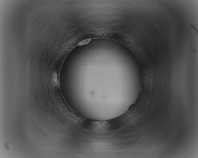 X0000101980089200807181135