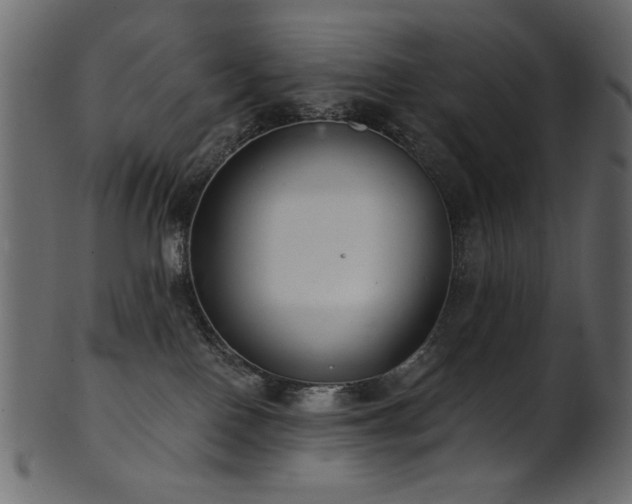 X0000101980090200807181135