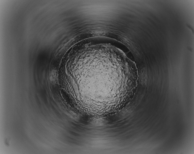 X0000101980093200807181135