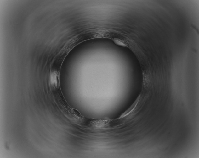 X0000101980094200807181135