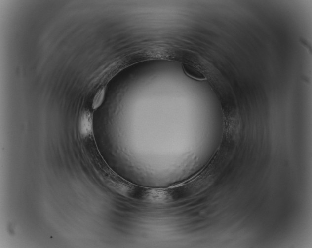 X0000101980095200807181135