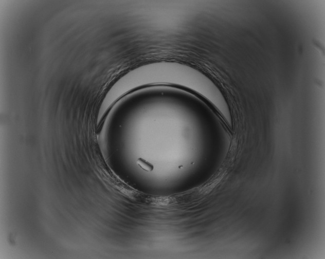 X0000101980096200807181135