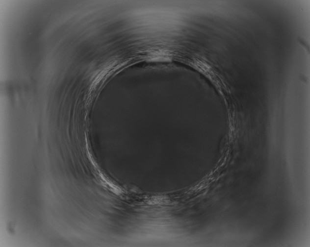 X0000101980097200807181134