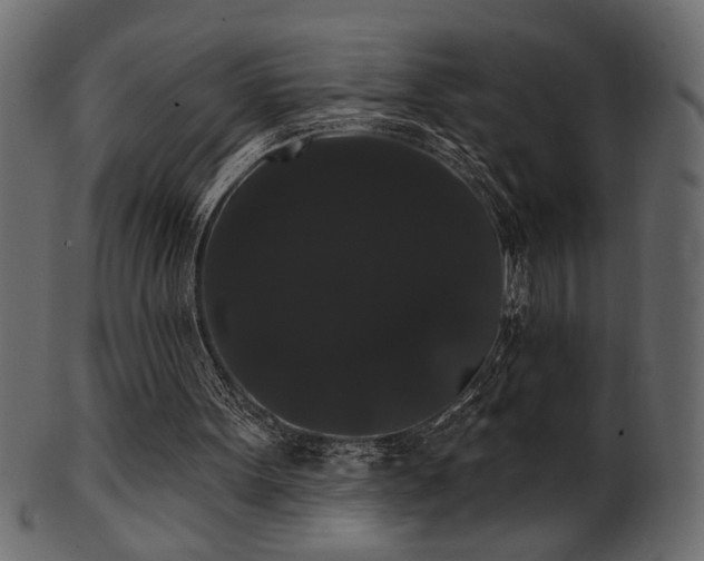 X0000101980099200807181134