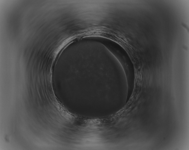 X0000101980100200807181134