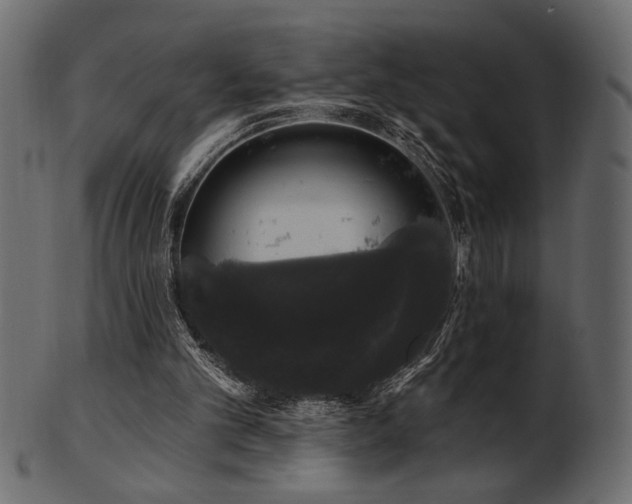 X0000101980101200807181134