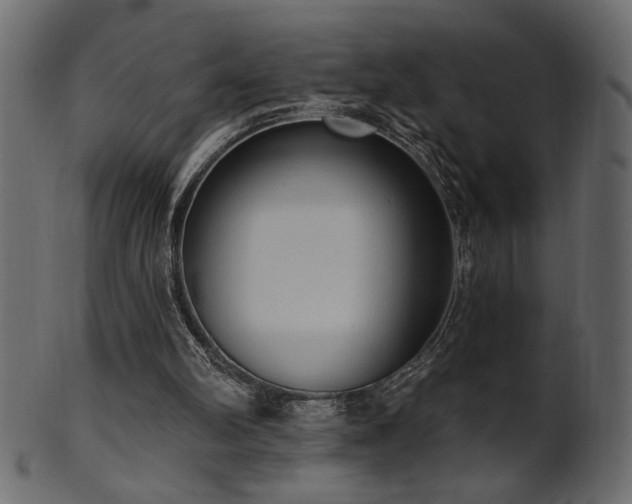 X0000101980102200807181134