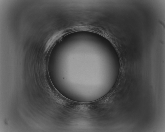 X0000101980103200807181134