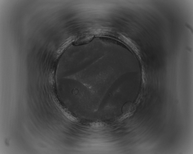 X0000101980105200807181134