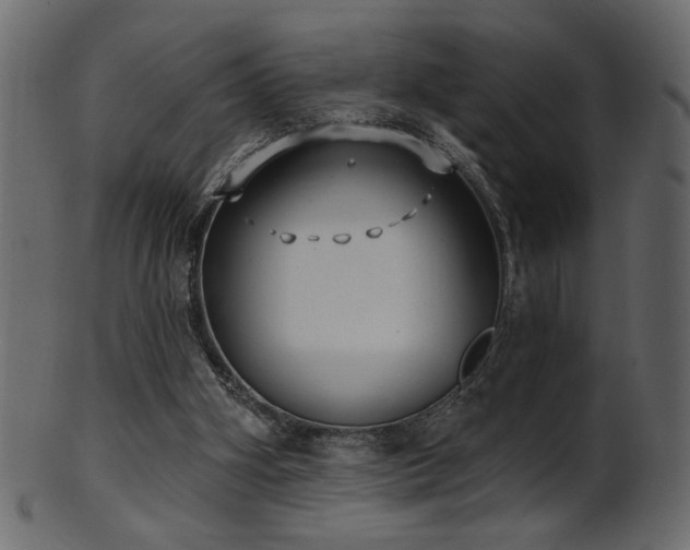 X0000101980106200807181134