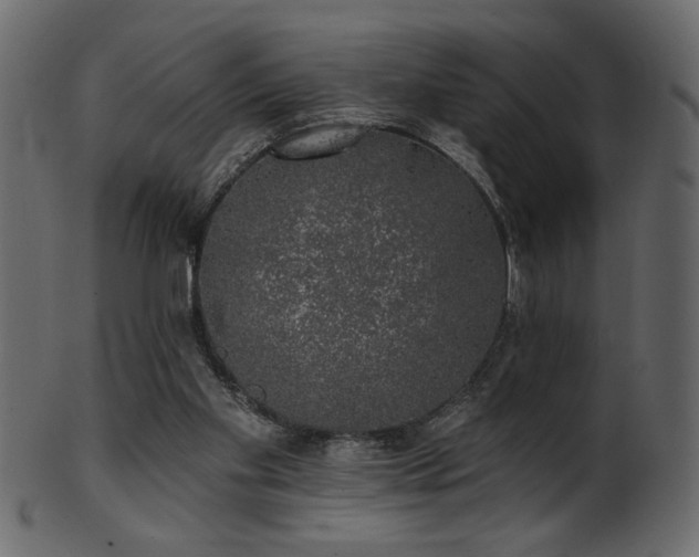 X0000101980109200807181134