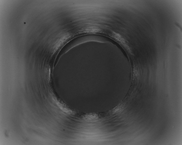 X0000101980110200807181134