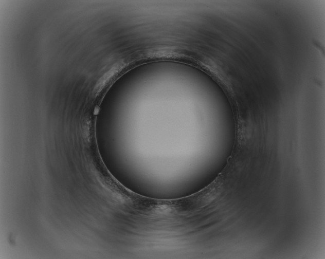 X0000101980111200807181134